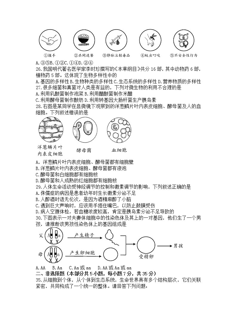 2022年湖北省襄阳市中考生物真题(word版无答案)第2页