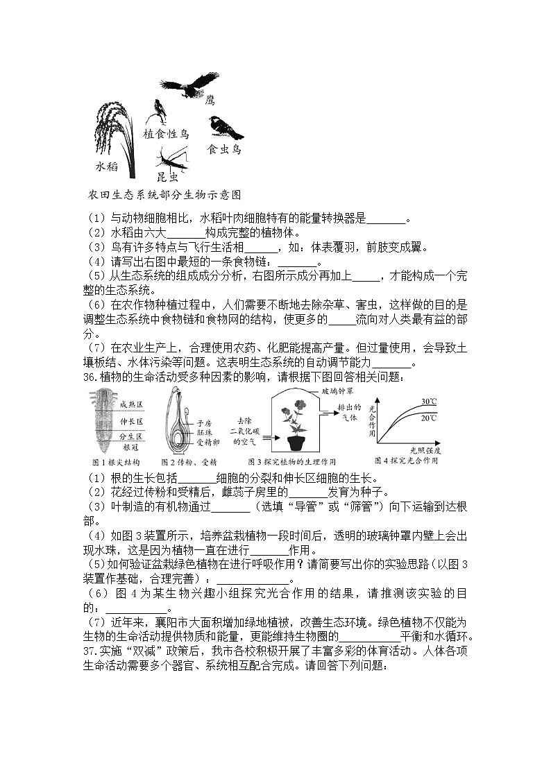 2022年湖北省襄阳市中考生物真题(word版无答案)第3页