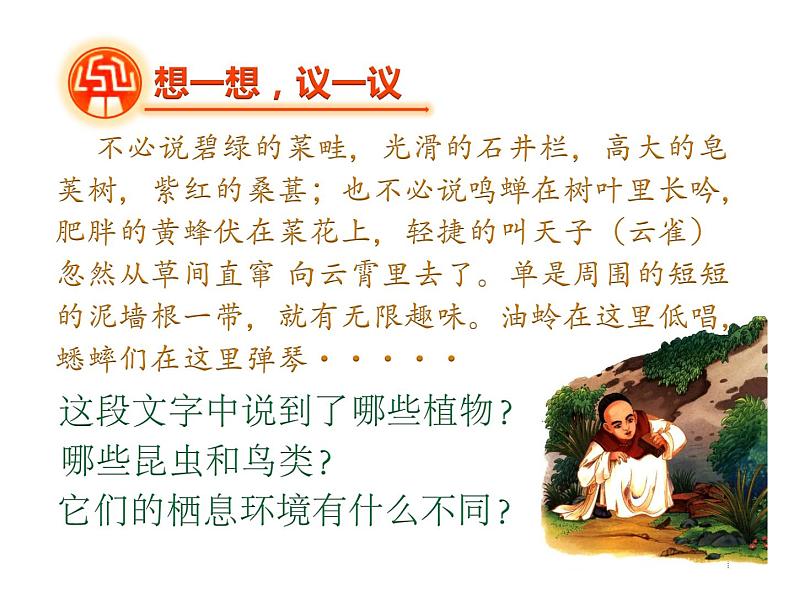 第二节 调查周边环境中的生物 课件03