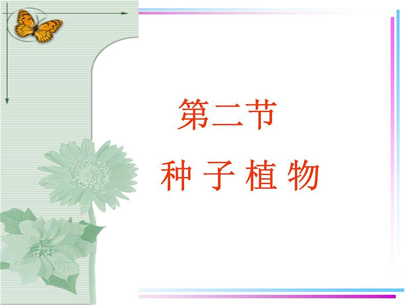 第二节 种子植物第1页