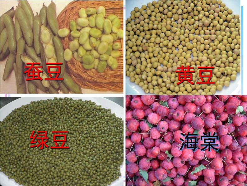 第二节 种子植物第6页