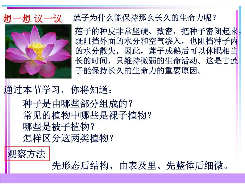 第二节 种子植物第8页