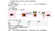初中生物苏教版七年级上册第3单元 生物圈中的绿色植物第6章 绿色植物的光合作用和呼吸作用第一节 植物光合作用的发现教案
