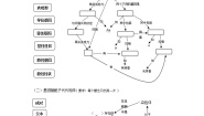 初中生物北师大版八年级上册第3节  性状遗传有一定的规律性教案及反思