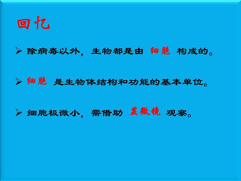 练习使用显微镜 课件+教案01