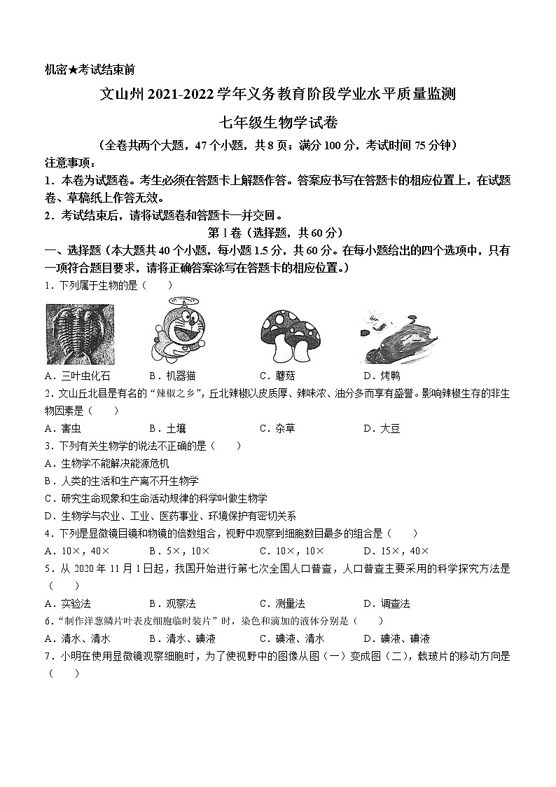 云南省文山州2021-2022学年七年级下学期期末生物试题(word版含答案)第1页