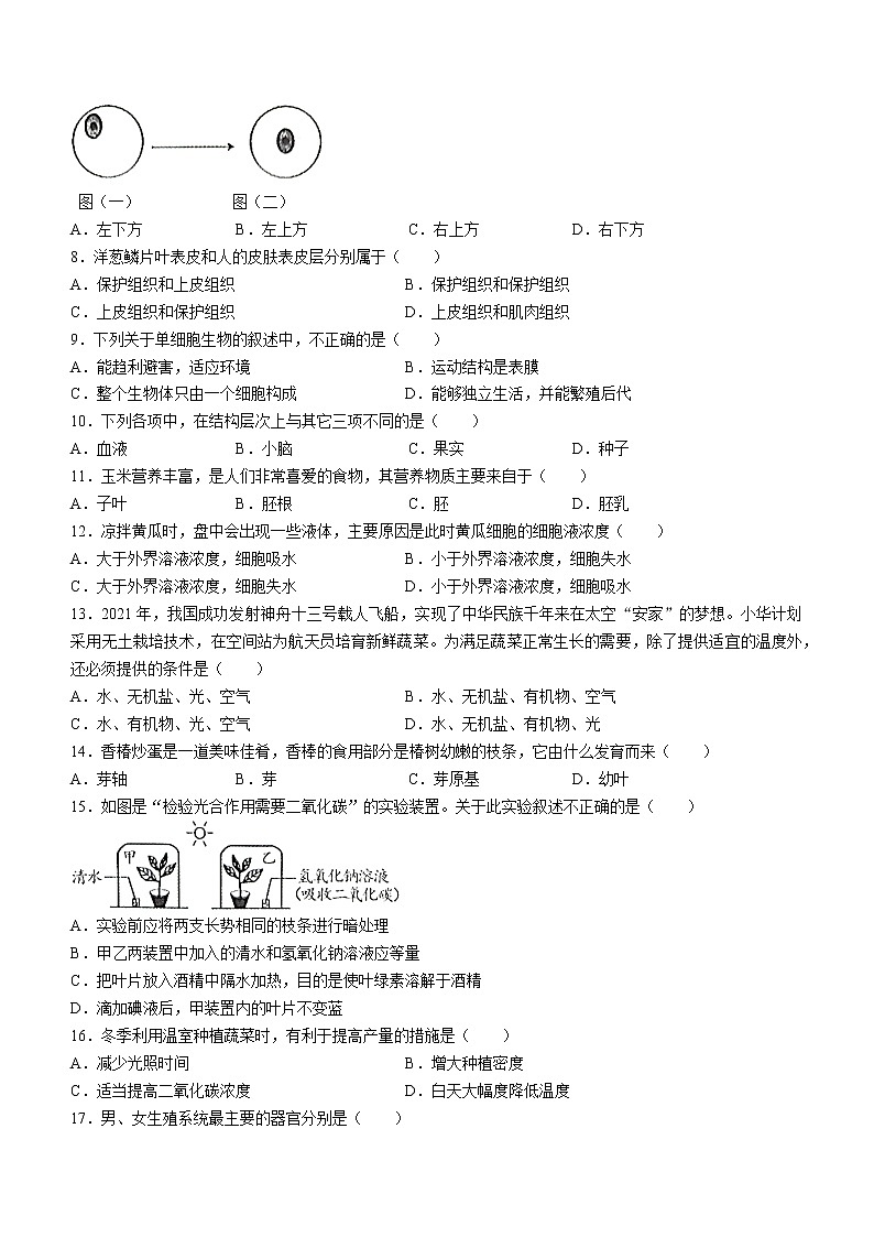 云南省文山州2021-2022学年七年级下学期期末生物试题(word版含答案)第2页