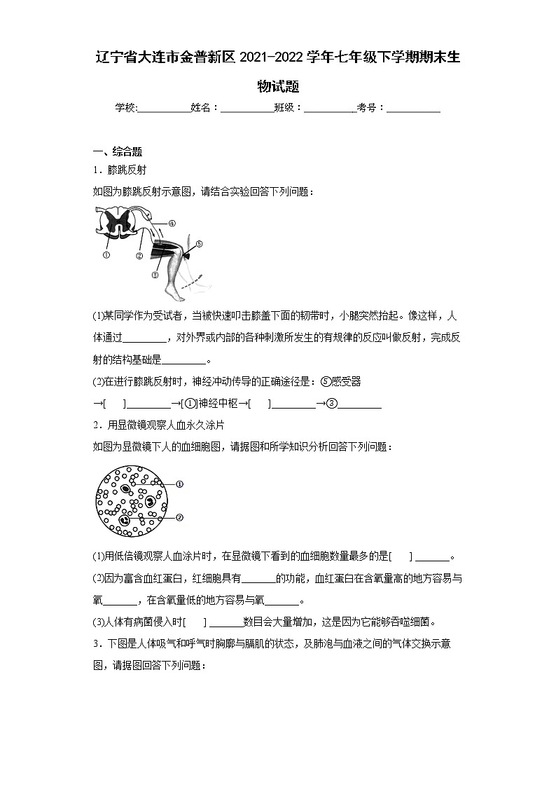 辽宁省大连市金普新区2021-2022学年七年级下学期期末生物试题(word版含答案)01