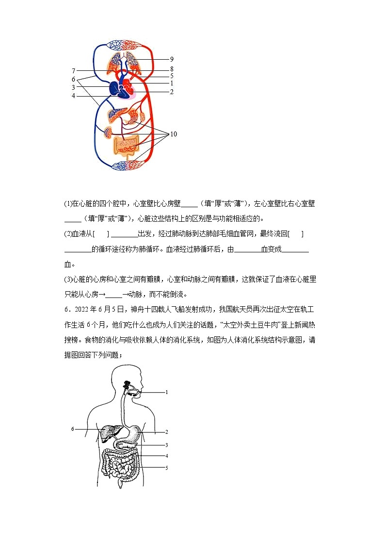 辽宁省大连市金普新区2021-2022学年七年级下学期期末生物试题(word版含答案)03
