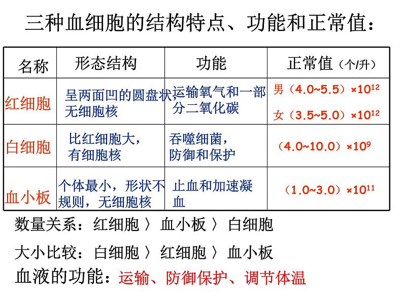 苏科版初中生物八年级上册《人体内物质的运输》课件07