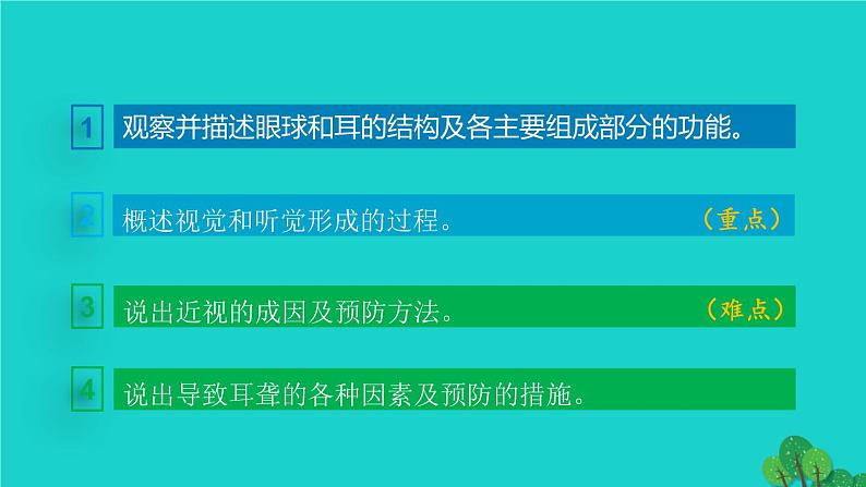 生物人教版七年级下册同步教学课件第4单元 生物圈中的人第6章 人体生命活动的调节第1节人体对外界环境的感知03