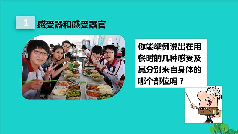 生物人教版七年级下册同步教学课件第4单元 生物圈中的人第6章 人体生命活动的调节第1节人体对外界环境的感知04