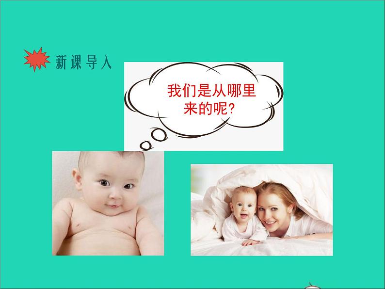 生物人教版七年级下册同步教学课件第4单元 生物圈中的人第1章人的由来第2节人的生殖第2页