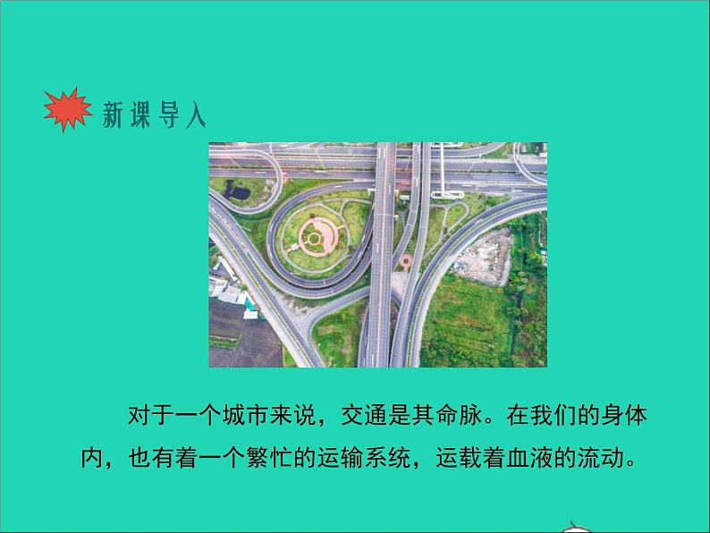 生物北师大版七年级下册同步教学课件第4单元 生物圈中的人第9章人体内的物质运输第2节血液循环第1课时血液流动的管道1第2页