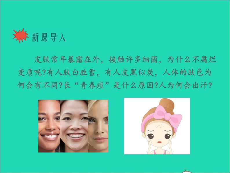 生物北师大版七年级下册同步教学课件第4单元 生物圈中的人第11章人体代谢废物的排出第3节皮肤与汗液分泌202