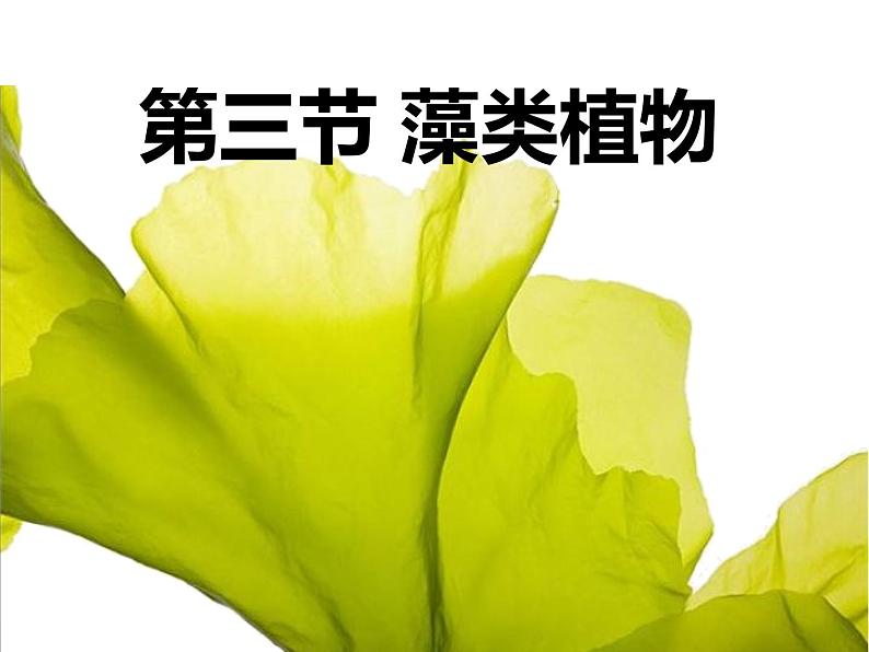 初中生物冀少版 七年级上册 1.3.3 藻类植物 课件02