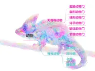 初中生物冀少版 七年级上册 1.4.3 线形动物和环节动物 课件