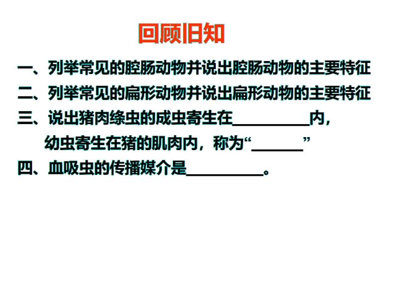 初中生物冀少版 七年级上册 1.4.3 线形动物和环节动物 课件02