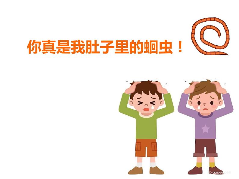 初中生物冀少版 七年级上册 1.4.3 线形动物和环节动物 课件05