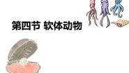 初中生物冀教版七年级上册第一单元  我们身边的生命世界第四章 多种多样的动物第四节 软体动物课堂教学课件ppt