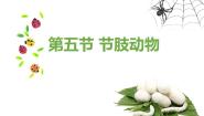 初中生物第一单元  我们身边的生命世界第四章 多种多样的动物第五节 节肢动物示范课课件ppt