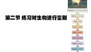 冀教版七年级上册第二节 练习对生物进行鉴别图片课件ppt