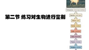 冀教版七年级上册第二节 练习对生物进行鉴别图片课件ppt