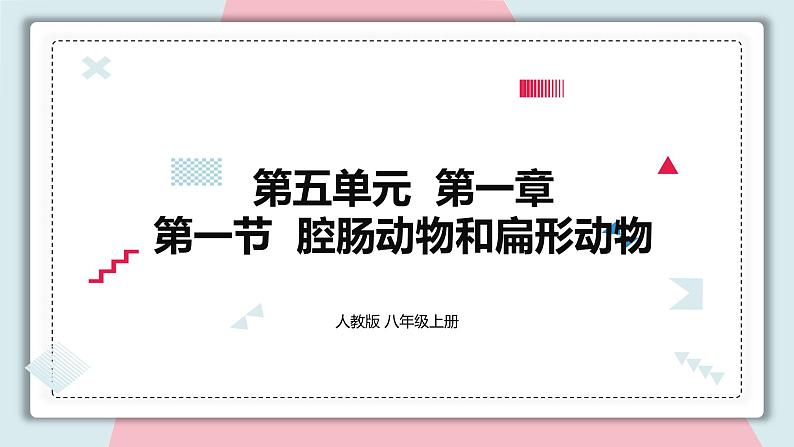 5.1.1 腔肠动物和扁形动物 课件 初中生物人教版八年级上册01