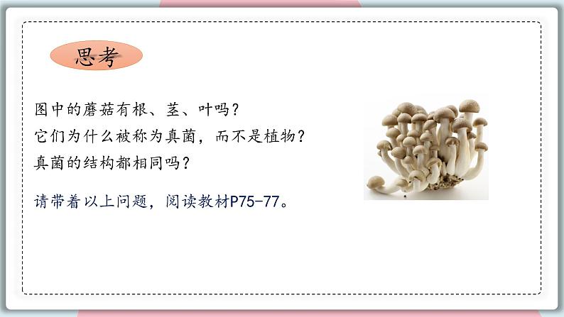 5.4.3 真菌 课件 初中生物人教版八年级上册04