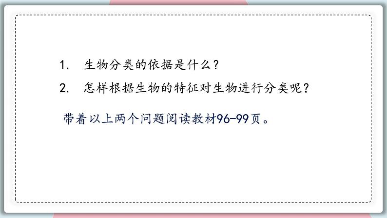 6.1.1 尝试对生物进行分类 课件 初中生物人教版八年级上册06