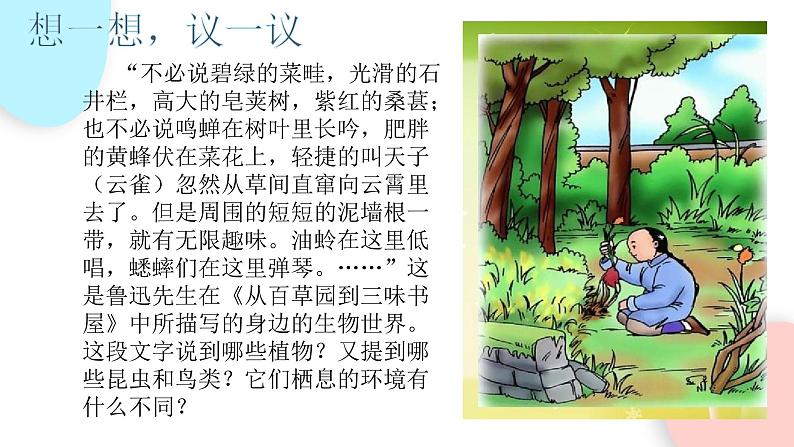 1.1.2 调查周边环境中的生物 课件 初中生物人教版七年级上册03