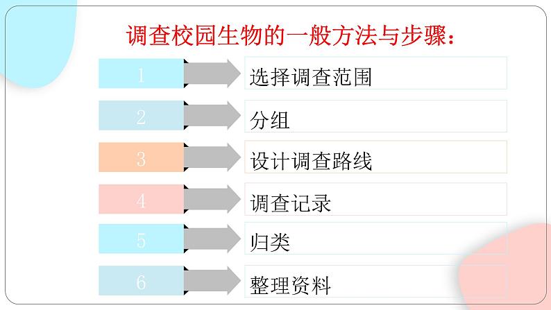 1.1.2 调查周边环境中的生物 课件 初中生物人教版七年级上册06