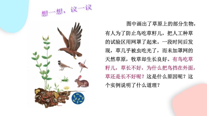 1.2.2 生物与环境组成生态系统  课件 初中生物人教版七年级上册03