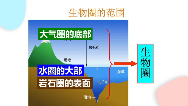 1.2.3 生物圈是最大的生态系统  课件 初中生物人教版七年级上册03