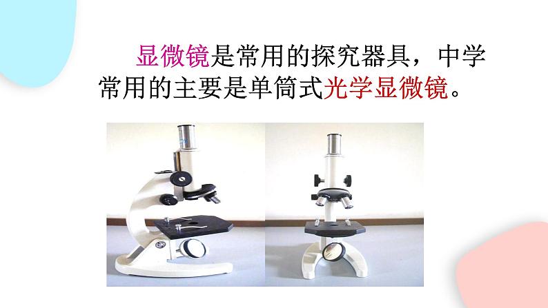 2.1.1 练习使用显微镜 课件 初中生物人教版七年级上册06
