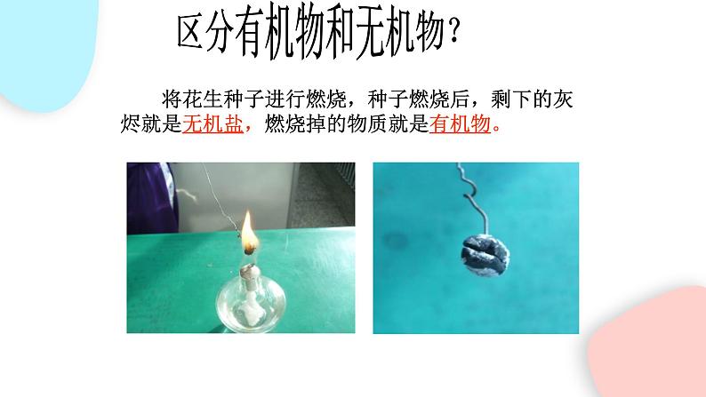 2.1.4 细胞的生活 课件 初中生物人教版七年级上册06