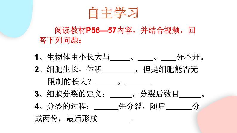 2.2.1 细胞通过分裂产生新细胞 课件 初中生物人教版七年级上册第5页