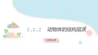 初中第二节 动物体的结构层次课堂教学课件ppt