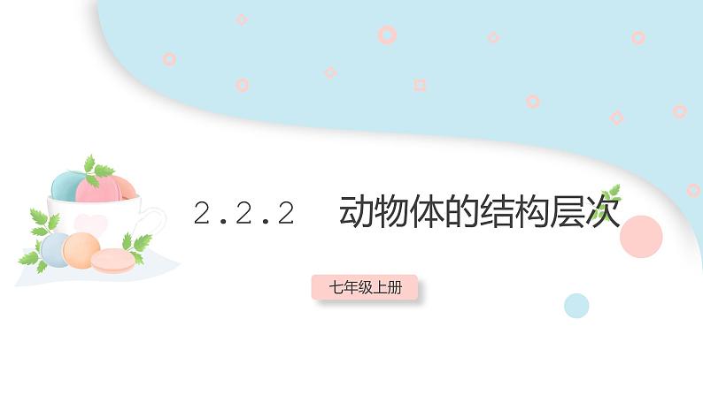 2.2.2 动物体的结构层次 课件 初中生物人教版七年级上册01