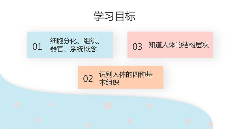 2.2.2 动物体的结构层次 课件 初中生物人教版七年级上册02