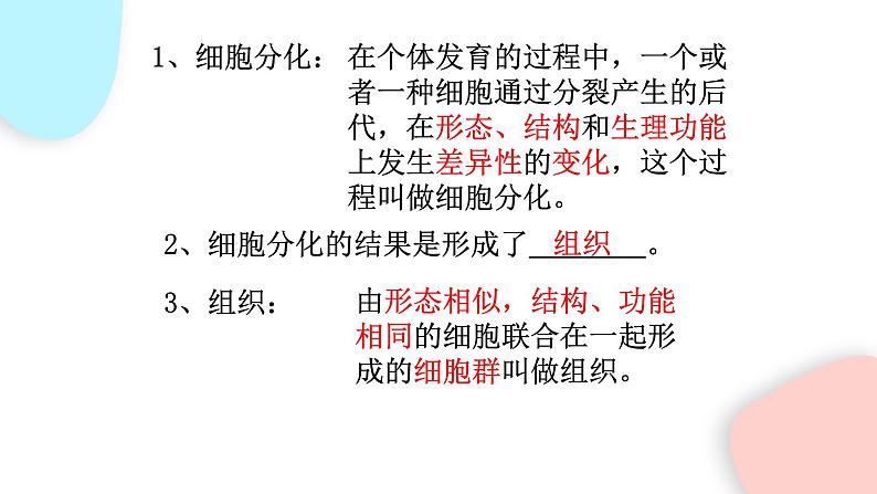 2.2.2 动物体的结构层次 课件 初中生物人教版七年级上册06