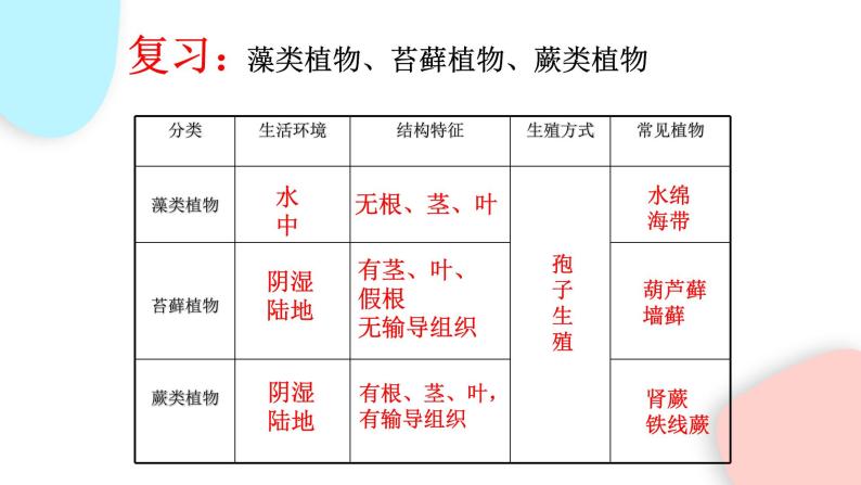 3.1.2 种子植物  课件 初中生物人教版七年级上册03