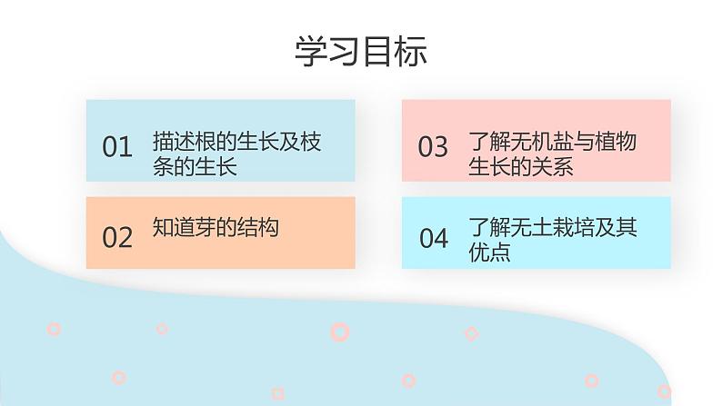 3.2.2 植株的生长 课件 初中生物人教版七年级上册02