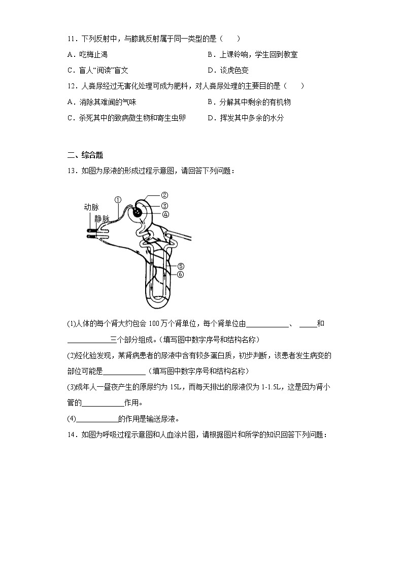 辽宁省沈阳市新民市2021-2022学年七年级下学期期末生物试题(含答案)02