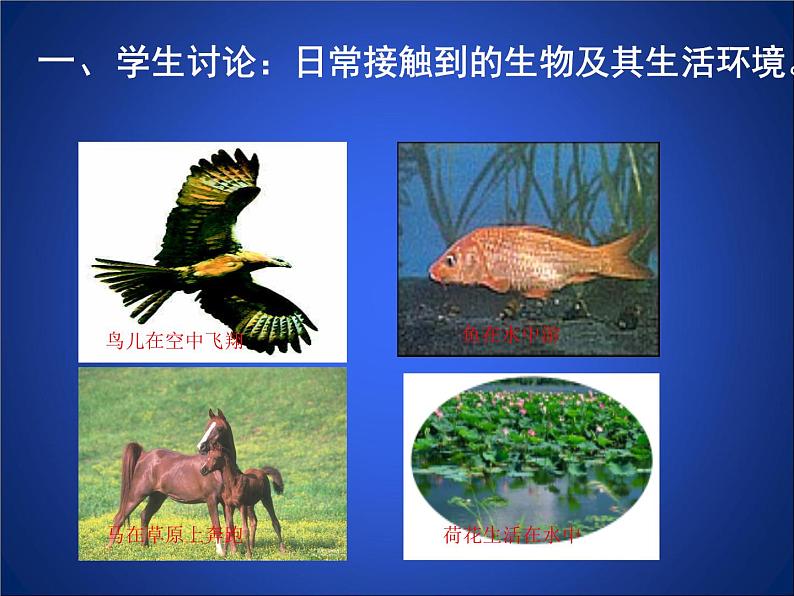 北师大版七年级上册生物 1.1 形形色色的生物 课件第3页