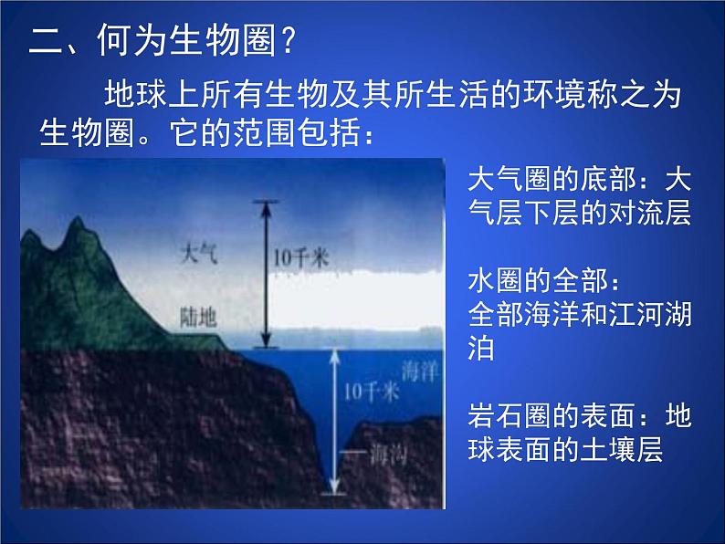 北师大版七年级上册生物 1.1 形形色色的生物 课件第4页
