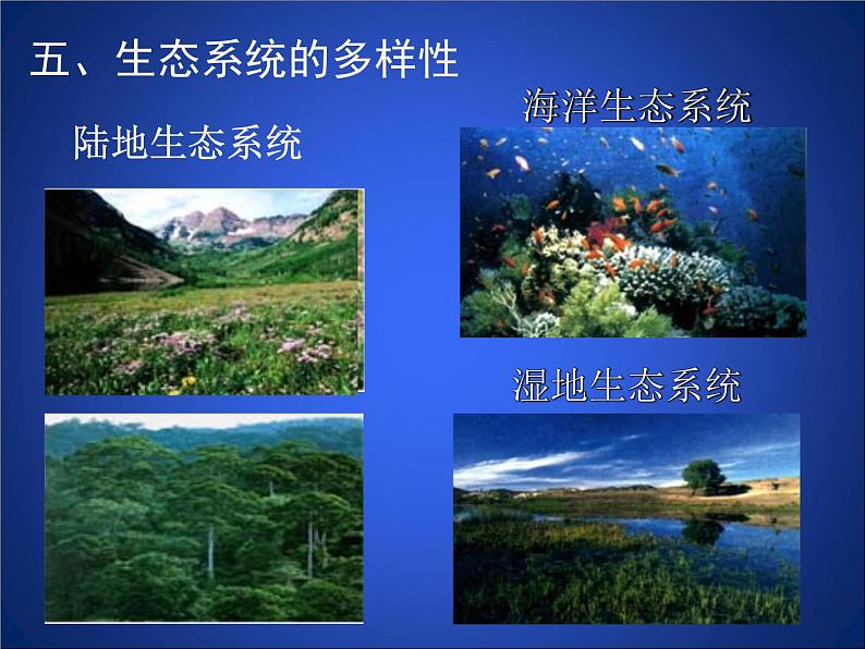 北师大版七年级上册生物 1.1 形形色色的生物 课件第7页