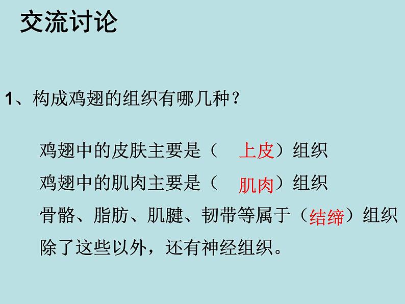 北师大版七年级上册生物 4.2 生物体的器官、系统 课件06