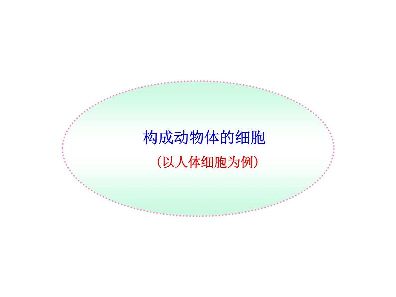 北师大版七年级上册生物 3.1 细胞的基本结构和功能 课件第2页