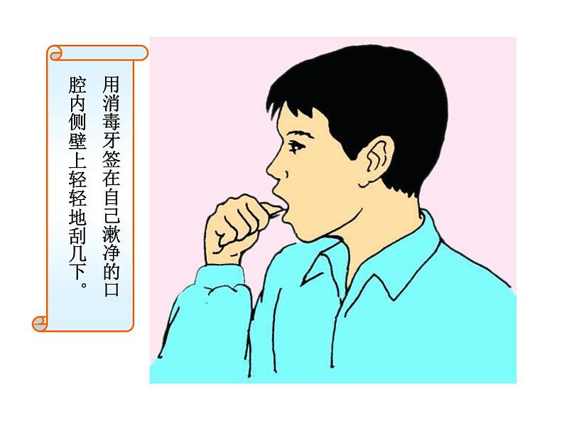 北师大版七年级上册生物 3.1 细胞的基本结构和功能 课件第3页